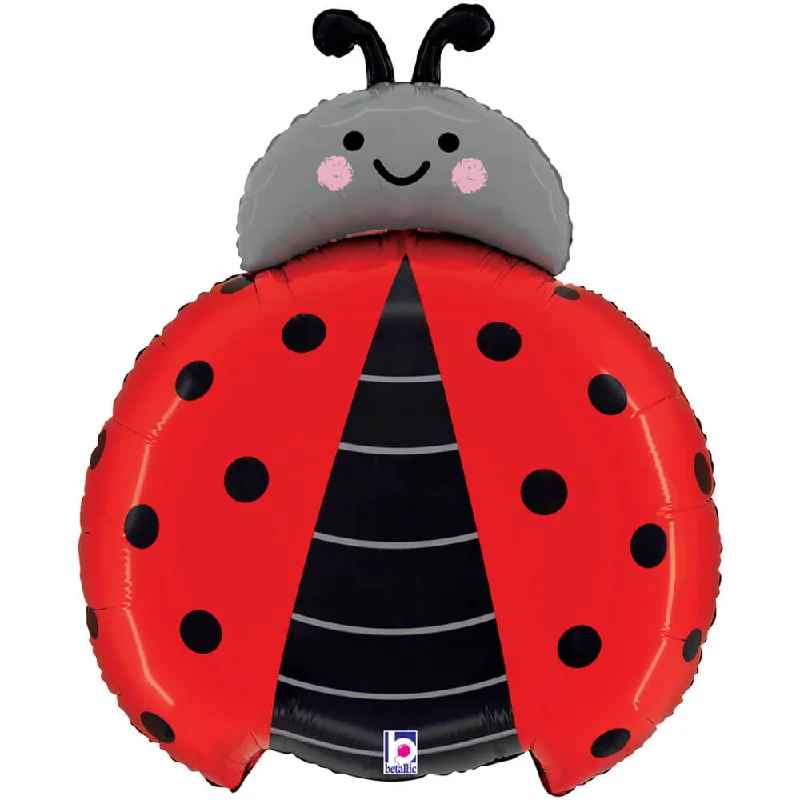 Soft Clothing 24 inch LADY BUG